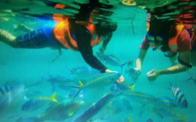 Marina Bay Resort & Restaurant - photo 3