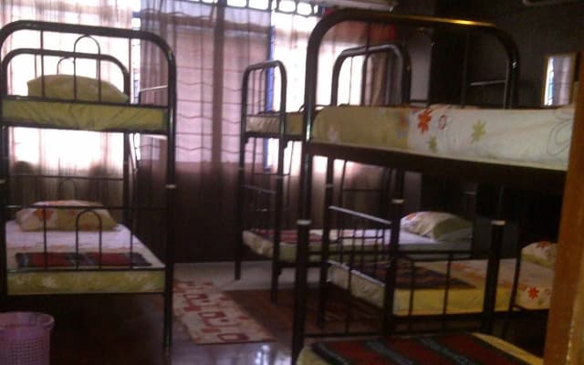 Mr. D's Bed & Breakfast - photo 3
