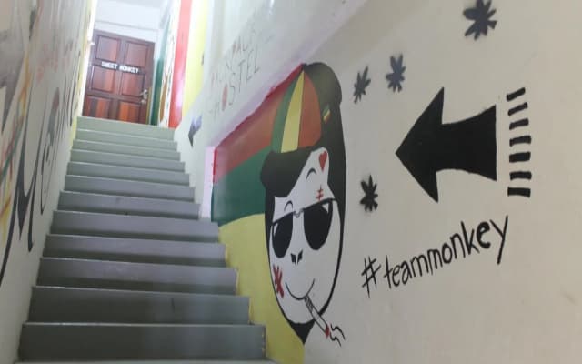Sweet Monkey Backpacker Hostel - photo 3