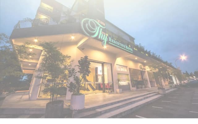Thy Executive Hotel - photo 2