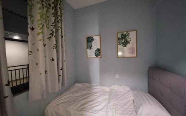 Forest Ants Homestay in Forest City 森林城市-森林蚂蚁民宿 - photo 3