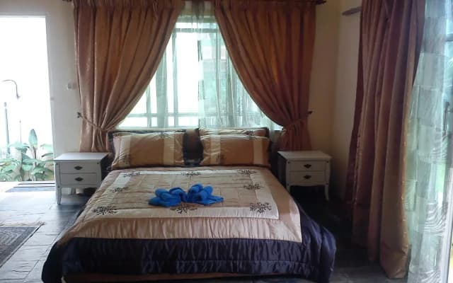 Jungle Resort - photo 3