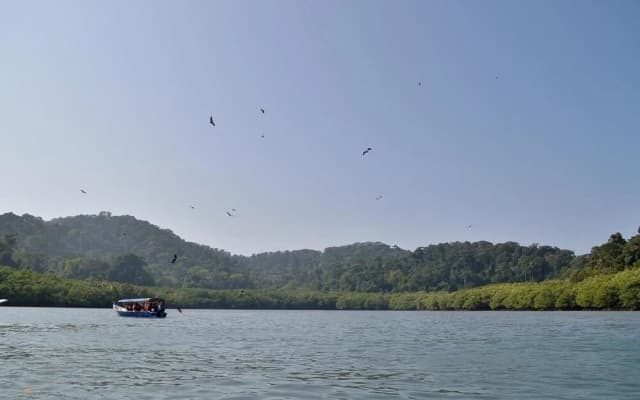The Roomstay Langkawi - photo 4