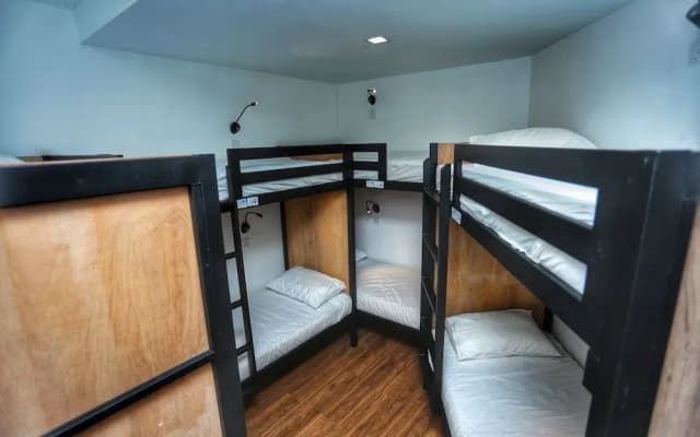 The Bedpackers Hostel - photo 3