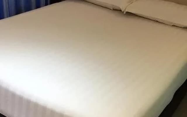 Dolphin Hotel - photo 2