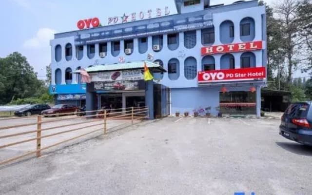Star Hotel - photo 5