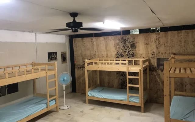 Red Eagle Bagpacker Hostel - photo 5