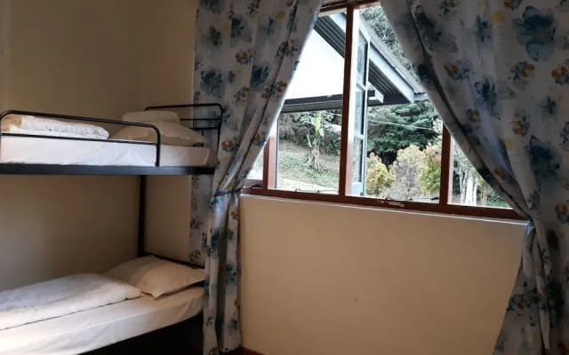 Farm Guest House - Hostel - photo 4