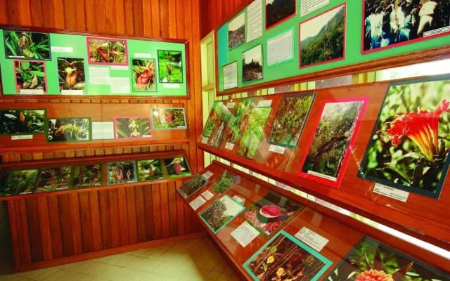 Mesilau Nature Resort - photo 2