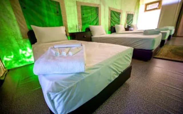 Orchard Wellness Safari Suites - photo 3