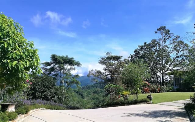 Embun Luxury Villas - photo 3