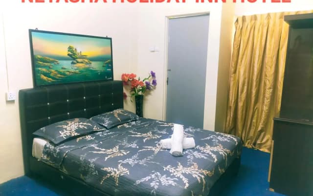 netasha holiday inn - photo 2