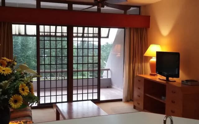 MV Apartment - photo 4
