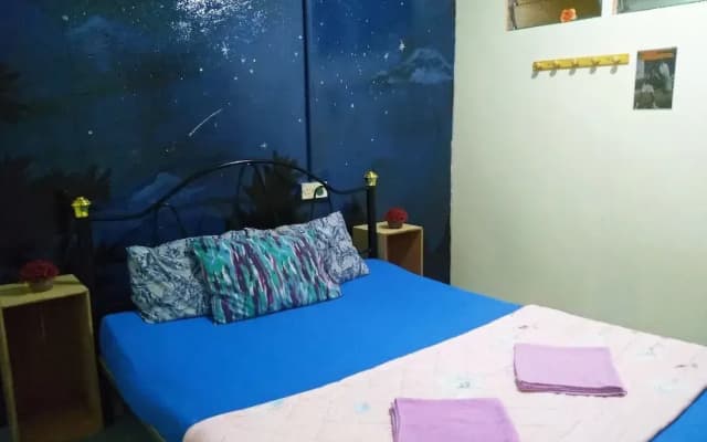 BONOBO Hostel Langkawi - photo 2