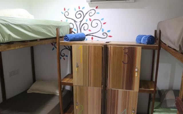 The Crowded House - photo 4