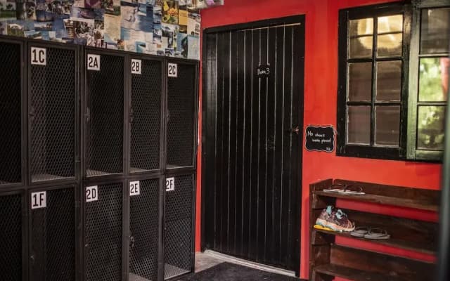 House of Lion Hostel and Guesthouse - photo 2