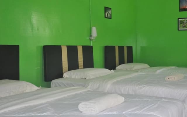 Sukau Greenview Bed & Breakfast - photo 3