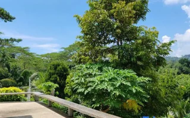 The Green Cloud Sandakan - photo 5