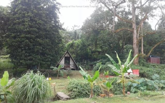 The Forest Cabin Taiping - photo 2