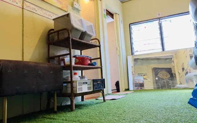 Cookoobird Home - Hostel - photo 2