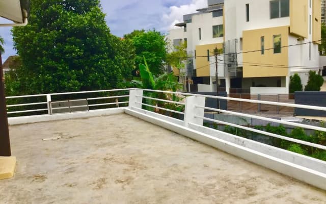 Sea Lion by the Beach - photo 2