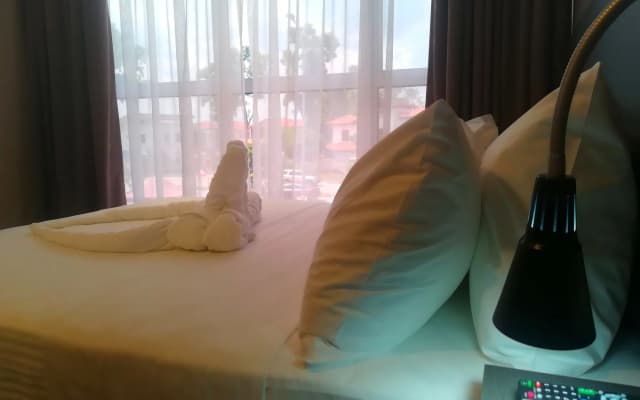 The Loft Plaza Hotel - photo 3