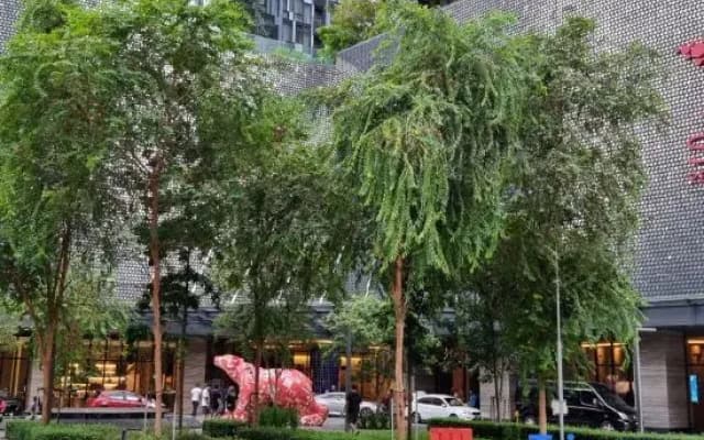 Star KLCC Superior Suite 4-5pax by DingDing - photo 2