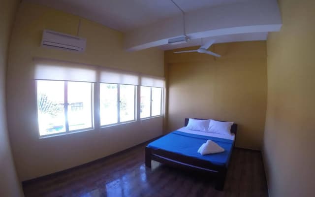 Fat Rhino Hostel - photo 4