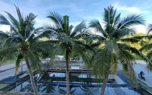Lumut Villa Inn Homestay - photo 3