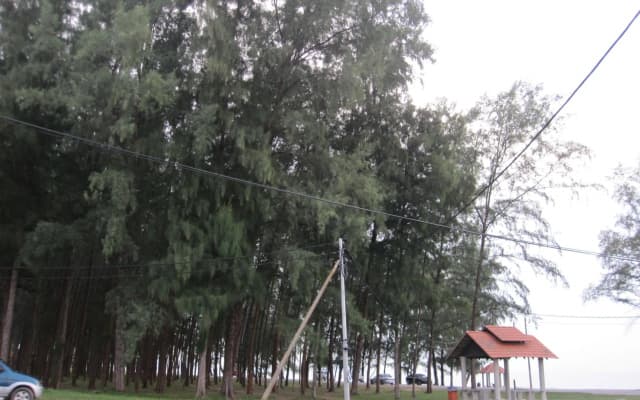 Al-Kahfi Homestay - photo 5