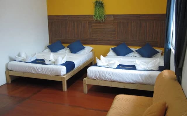 MY Rainforest Homestay - photo 4