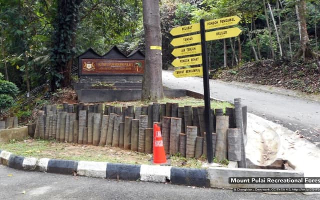LSH Hotel - photo 2