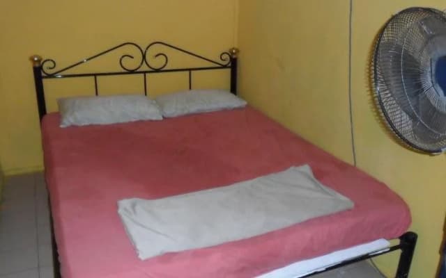 Greenleaf Guesthouse - photo 4