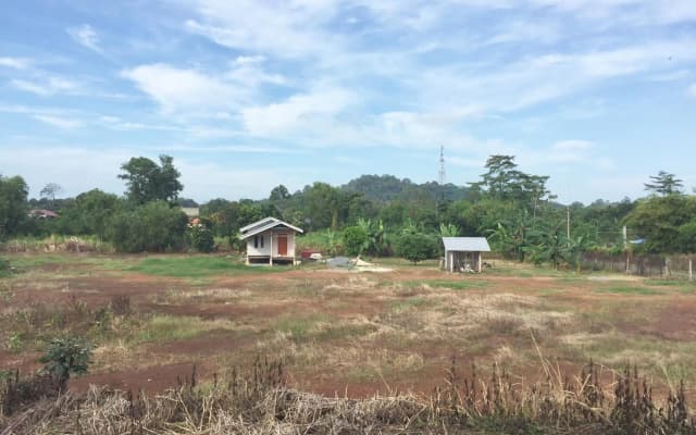 Deena Homestay (Utan Aji) - photo 5