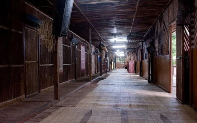 Hotel Longhouse - photo 5