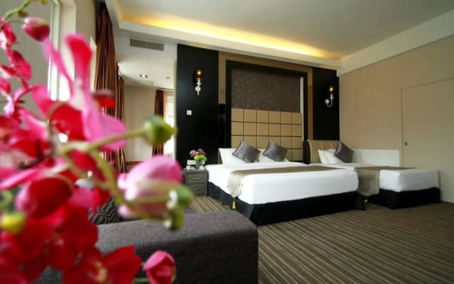 Ajit Guest House & Hotel - photo 3