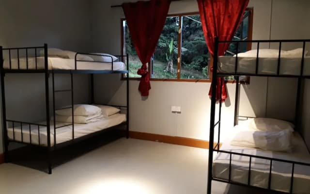 Farm Guest House - Hostel - photo 2