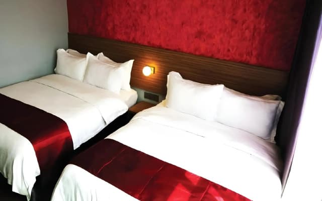 Apollo Inn - Hostel - photo 4