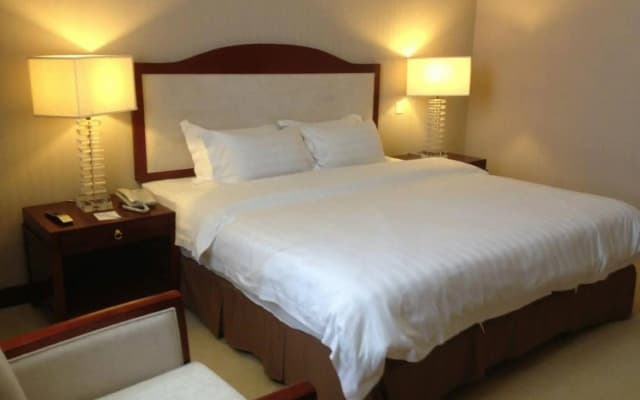 Gaya Centre Hotel - photo 5