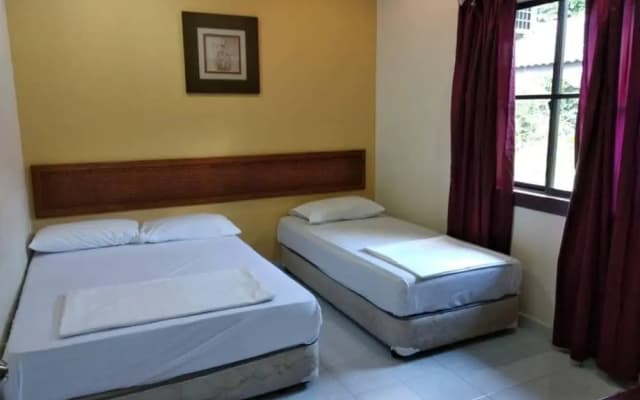 Ann Homestay Villa 893 - photo 4