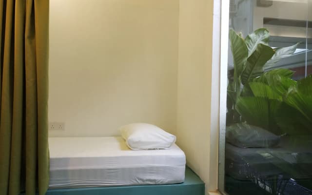 Beds In Garden Hostel - photo 2