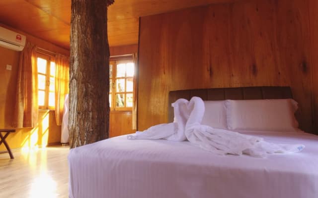Borneo Tree House - photo 5