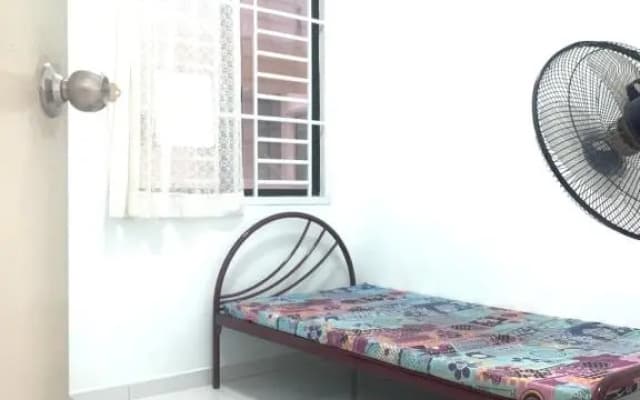 Bella House - photo 4
