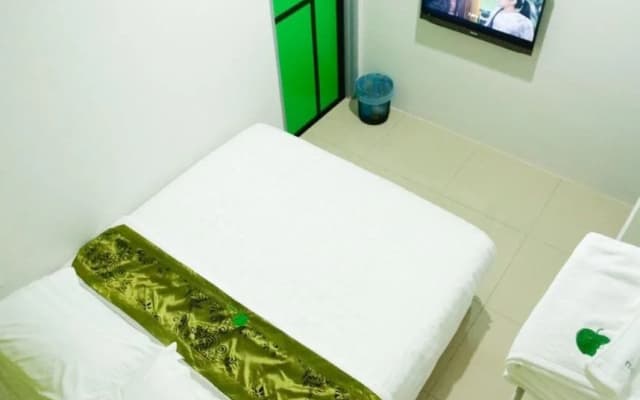 Green Hotel - photo 5