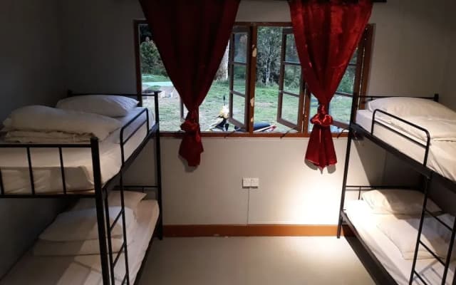 Farm Guest House - Hostel - photo 5