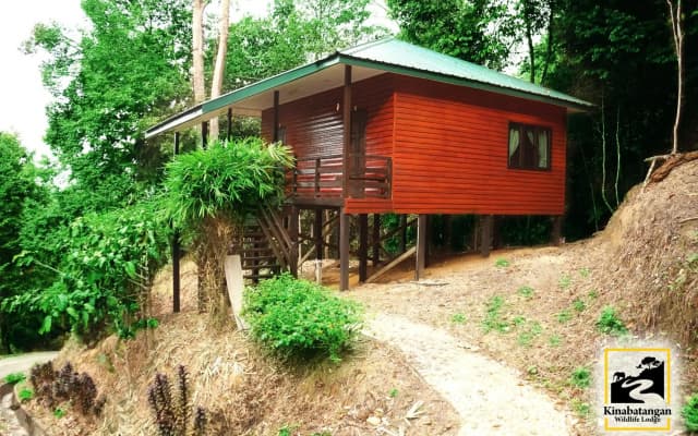 Kinabatangan Wildlife Lodge - photo 3