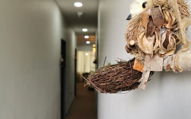 The Nest Hostel Semporna - photo 3