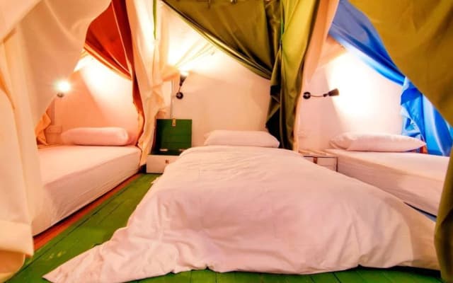 Queen's Hostel- Female Friendly - photo 4
