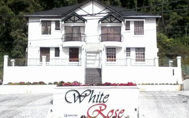White Rose Apartment - photo 3