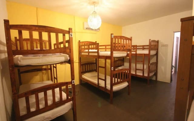 Cocoa Mews Cafe & Homestay - Hostel - photo 4